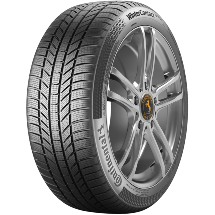 WinterContact TS 870 P IARNA CONTINENTAL 215/65 R16 1